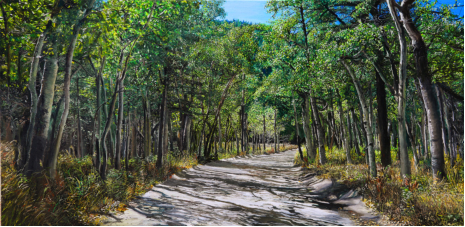 MOUNTAIN ROAD